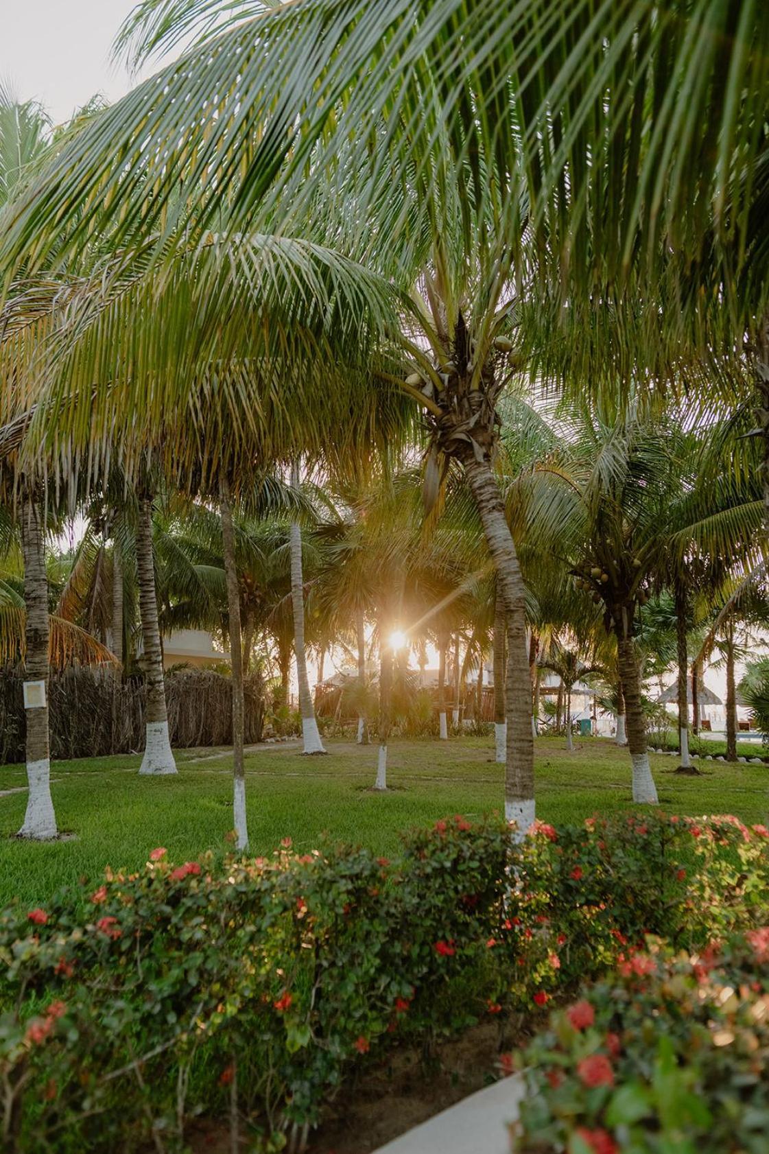 Hotel Puerto Holbox Beach Front Exterior foto
